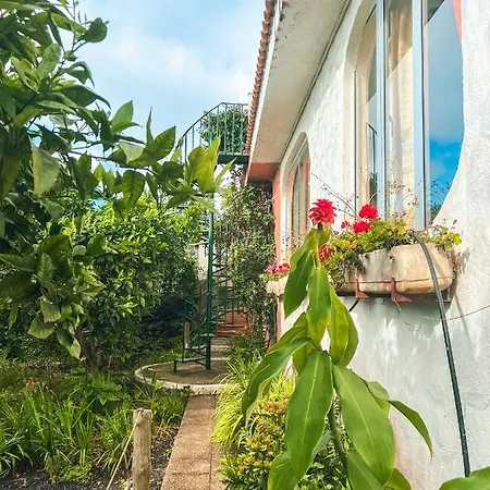Canarian With Terrace Surrounded By Garden - Alisios Prázdninový dům *