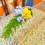 Canarian With Terrace Surrounded By Garden - Alisios