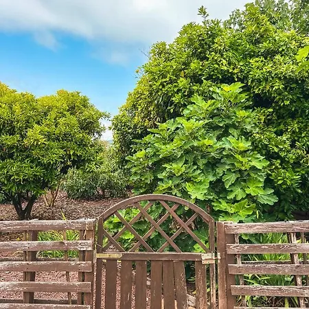 Canarian With Terrace Surrounded By Garden - Alisios *