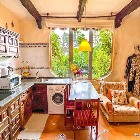 Canarian With Terrace Surrounded By Garden - Alisios Dom wakacyjny *