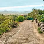 Canarian With Terrace Surrounded By Garden - Alisios