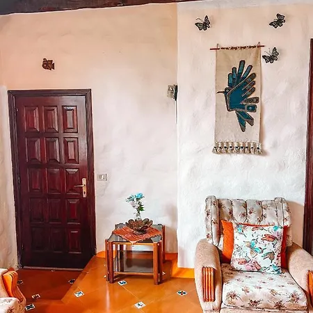 Canarian With Terrace Surrounded By Garden - Alisios