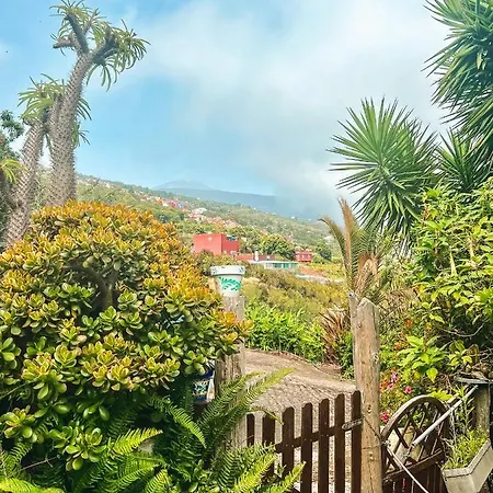 Canarian With Terrace Surrounded By Garden - Alisios Prázdninový dům *