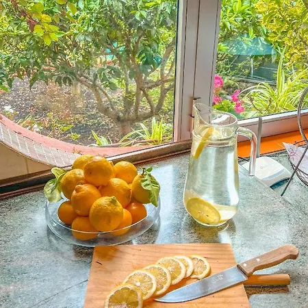 Prázdninový dům Canarian With Terrace Surrounded By Garden - Alisios *