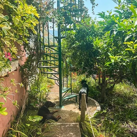 Canarian With Terrace Surrounded By Garden - Alisios
