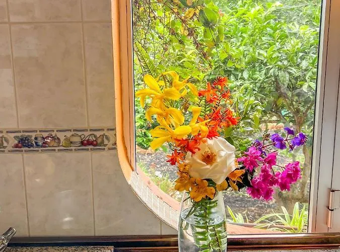 Canarian With Terrace Surrounded By Garden - Alisios La Orotava