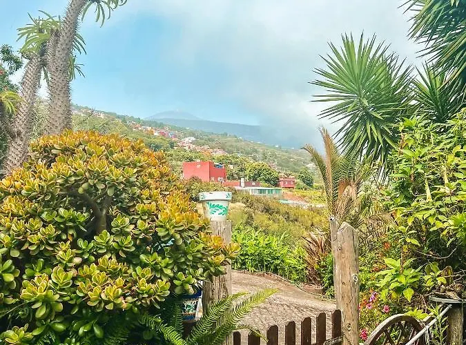 Canarian With Terrace Surrounded By Garden - Alisios Feriehus *