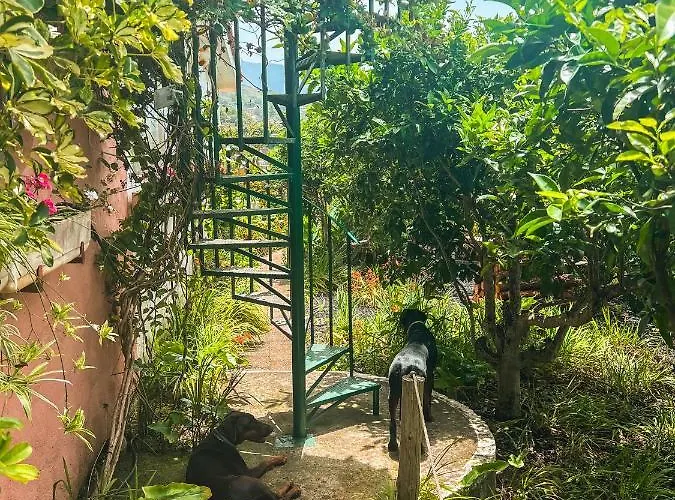 Canarian With Terrace Surrounded By Garden - Alisios