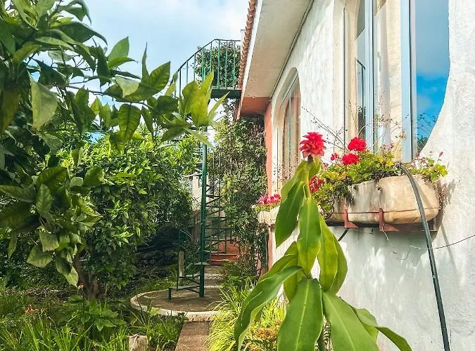 Canarian With Terrace Surrounded By Garden - Alisios Feriehus *