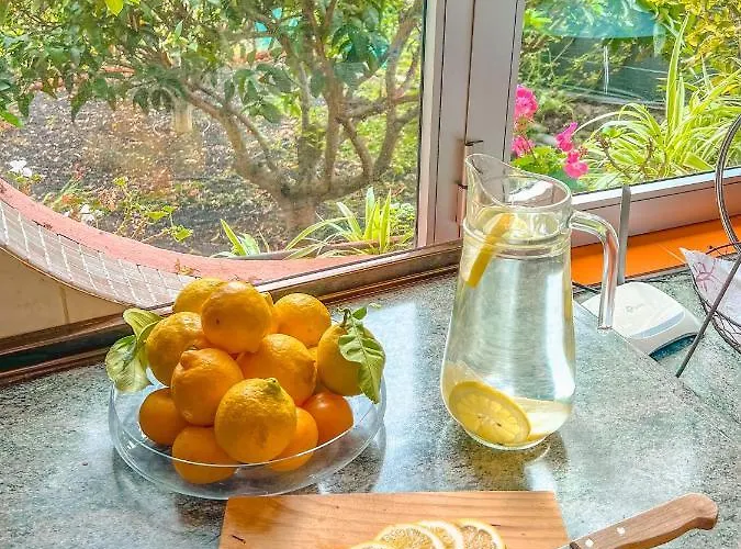 Feriehus Canarian With Terrace Surrounded By Garden - Alisios *