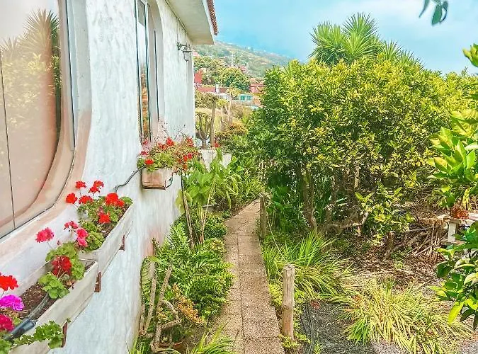 Canarian With Terrace Surrounded By Garden - Alisios