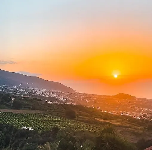 Feriehus Canarian With Terrace Surrounded By Garden - Alisios